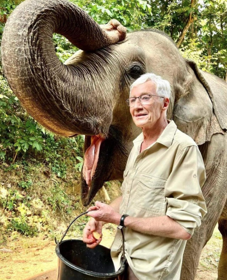 Paul O'Grady is a British comedian, actor, and television personality. (Credits: @paulogrady Instagram)